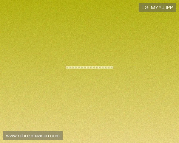 乌拉圭与西班牙在世界杯比赛中的扑救次数对比及门将表现亮点全面解析